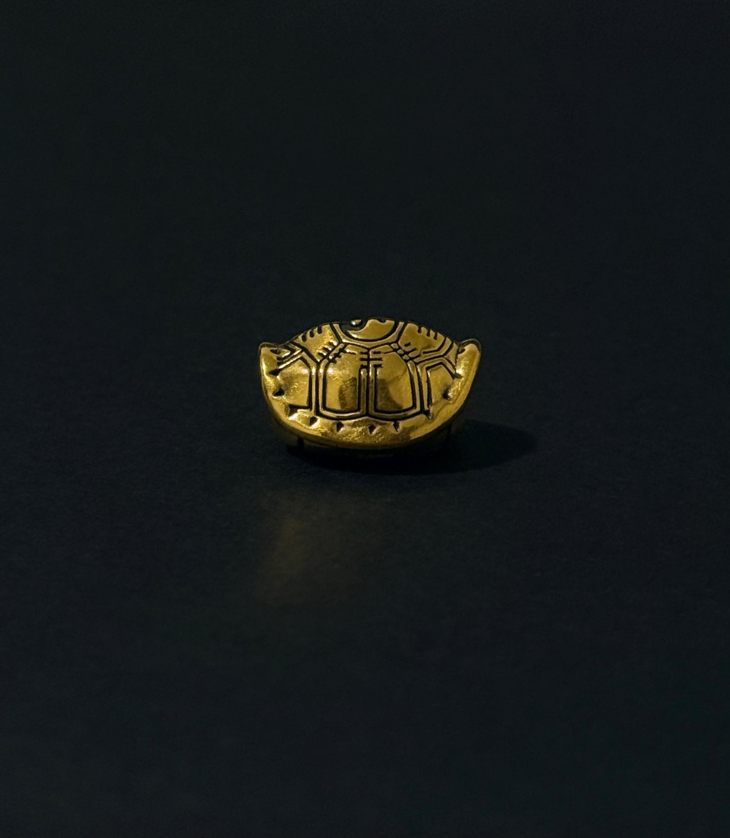 The Boundless Wealth Tortoise Charm 富甲天下