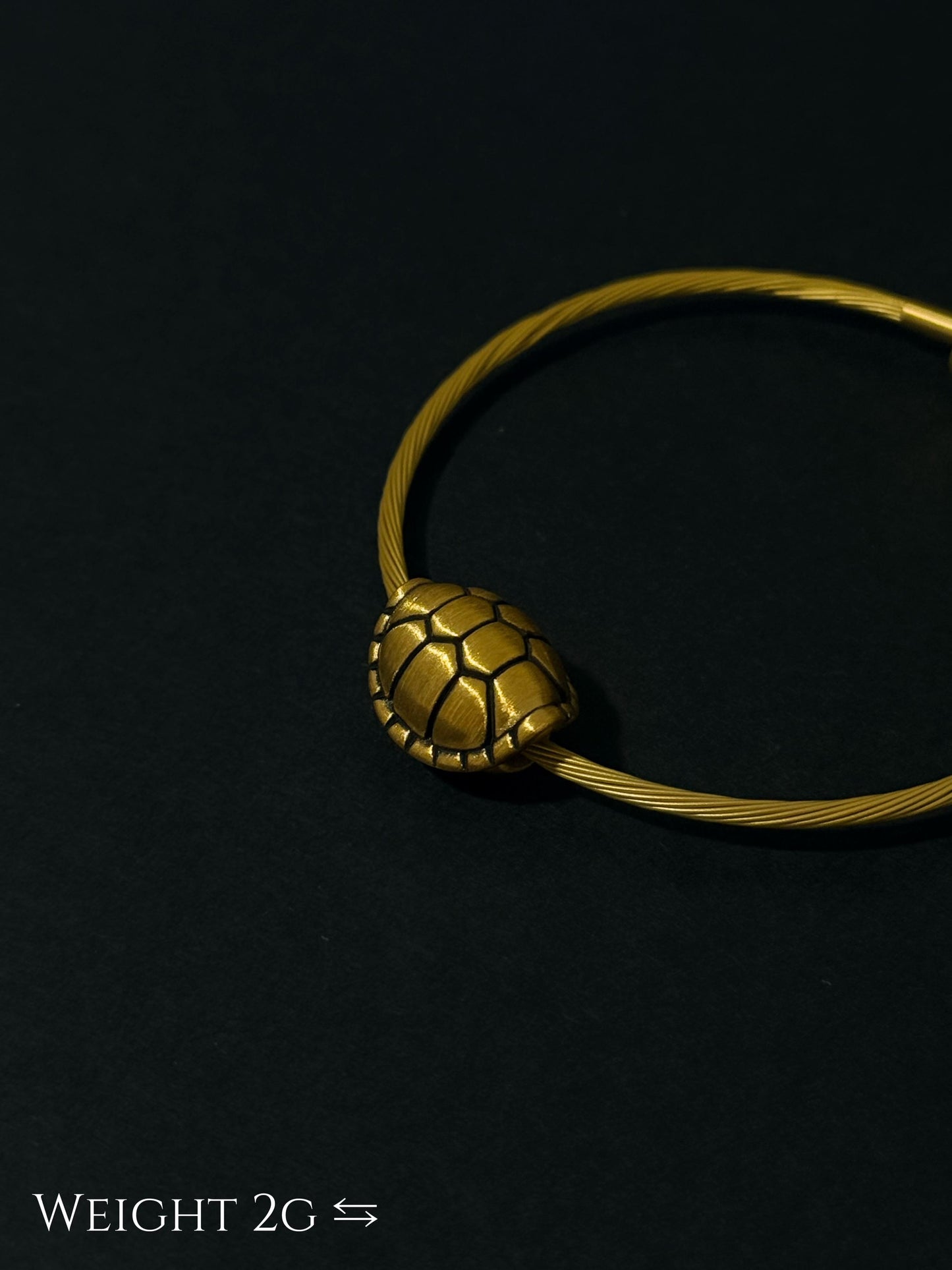 The Fortune Tortoise Charm 富甲天下 (小)