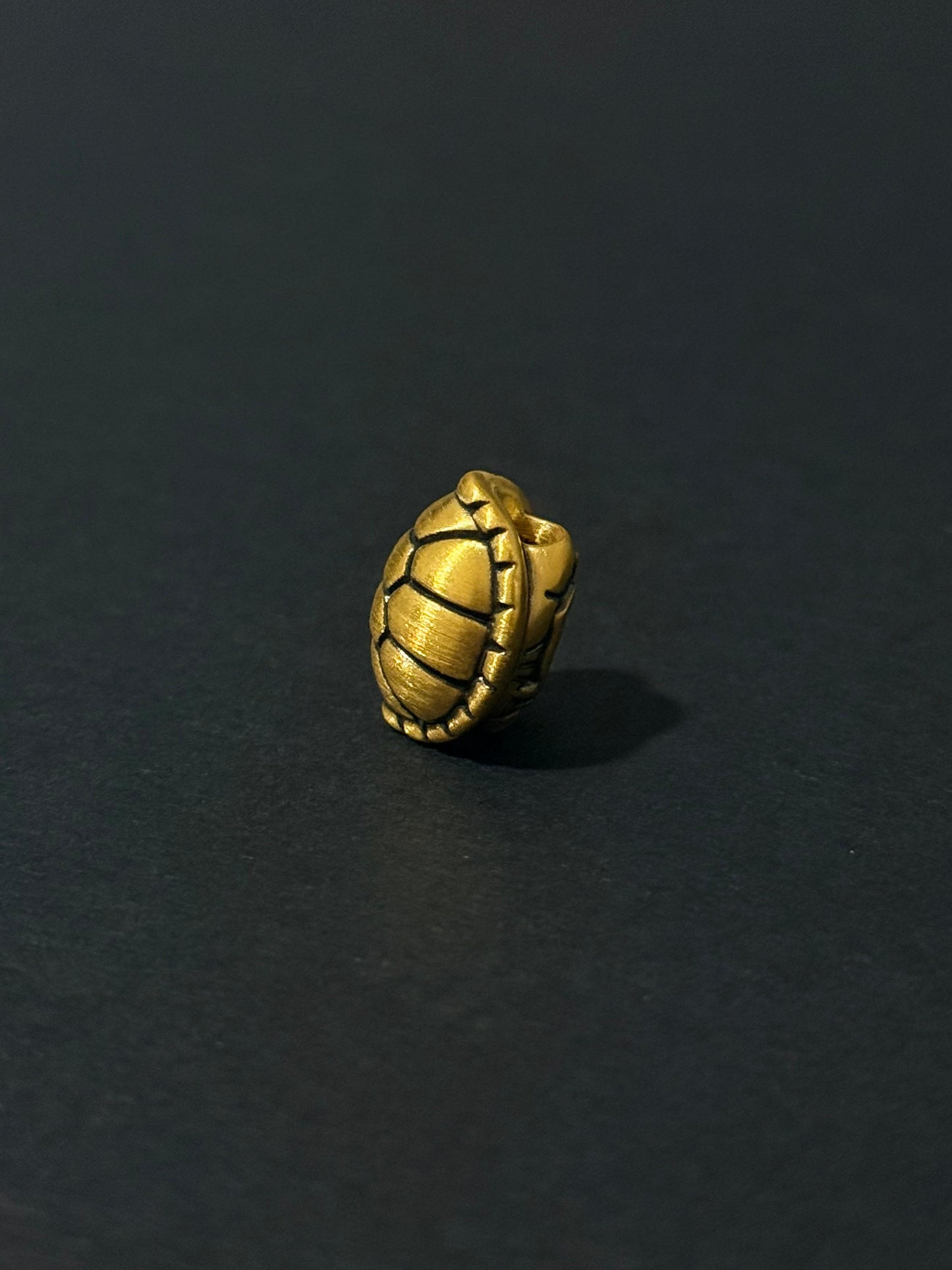 The Fortune Tortoise Charm 富甲天下 (小)